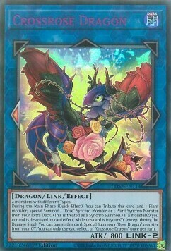 Crossrose Dragon Card Front