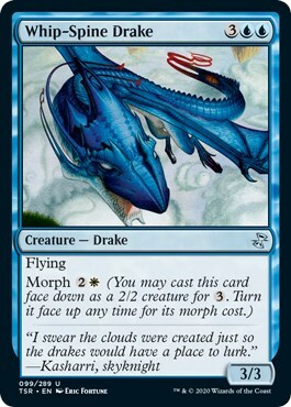 Whip-Spine Drake Card Front