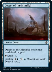 Desert of the Mindful