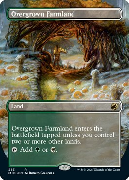 Overgrown Farmland Card Front