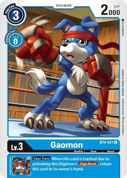 Gaomon Card Front