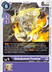 Ginkakumon Promote