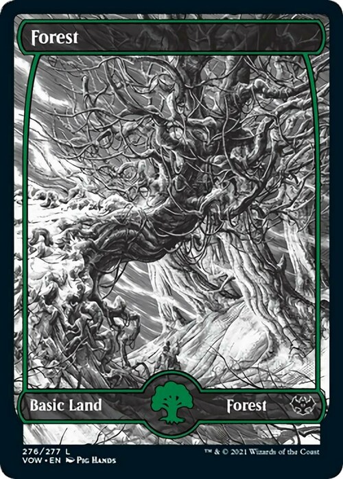 Forest Card Front