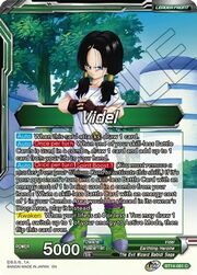 Videl // Videl, the Town's Heroine