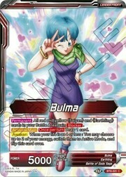 Bulma // Bulma, Legami Familiari