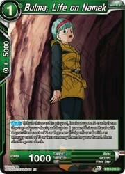 Bulma, Life on Namek