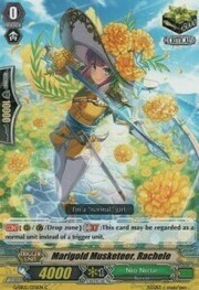 Marigold Musketeer, Rachele