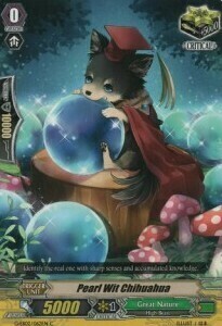 Pearl Wit Chihuahua [G Format] Card Front