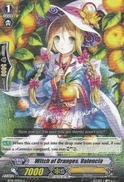 Witch of Oranges, Valencia [G Format]