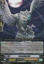 Scouting Owl [G Format]