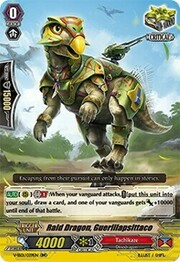 Raid Dragon, Guerrillapsittaco [V Format]