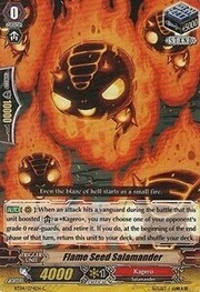 Flame Seed Salamander [G Format]