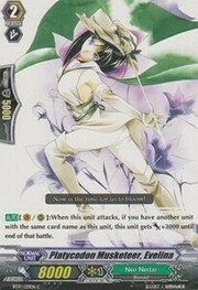 Platycodon Musketeer, Evelina [G Format]