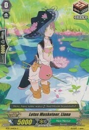 Lotus Musketeer, Liana [G Format]