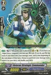 Veteran Strategic Commander [G Format]