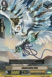 Imperative Owl [G Format]