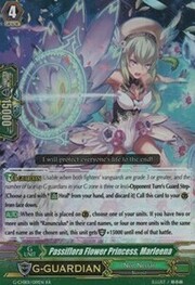 Passiflora Flower Princess, Marleena [G Format]