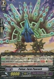 Pulsar, Farm Peacock [G Format]