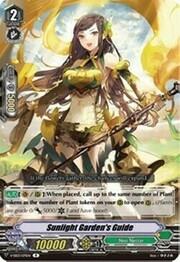 Sunlight Garden's Guide [V Format]