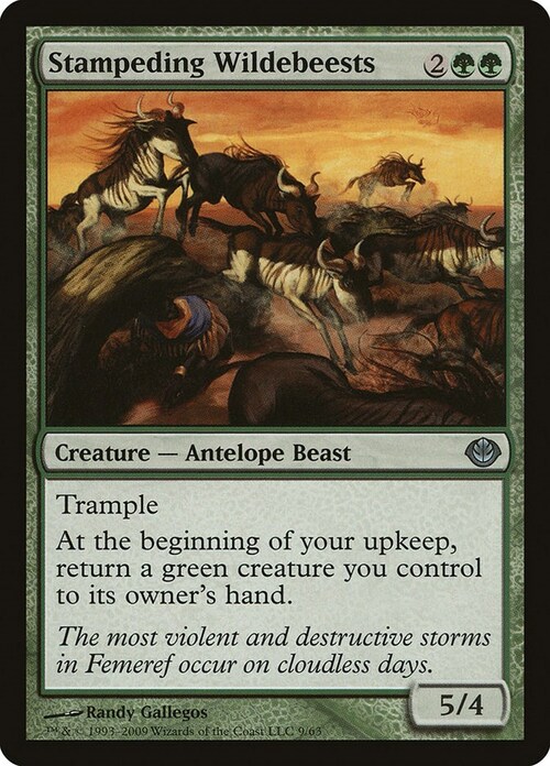 Stampeding Wildebeests Card Front