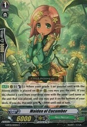 Maiden of Cucumber [G Format]