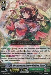 Alstroemeria Flower Maiden, Elana [G Format]