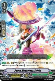 Pansy Musketeer, Sylvia [G Format]