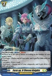 Form up, O Chosen Knights [D Format]