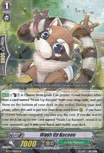 Wash Up Racoon [G Format] Card Front