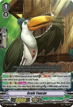 Scale Toucan [V Format] Card Front