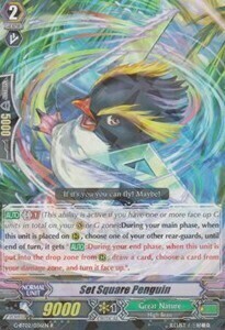 Pinguino Squadra Card Front