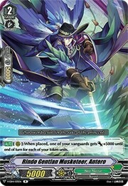 Rindo Gentian Musketeer, Antero [V Format]