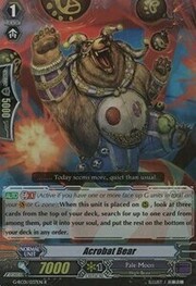 Acrobat Bear [G Format]