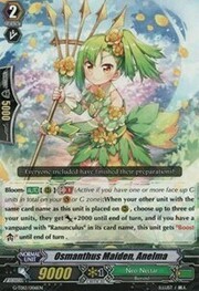 Osmanthus Maiden, Anelma