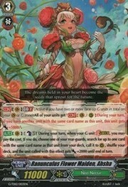 Ranunculus Flower Maiden, Ahsha