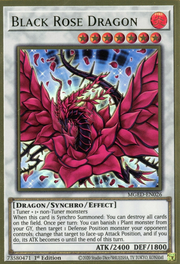 Black Rose Dragon