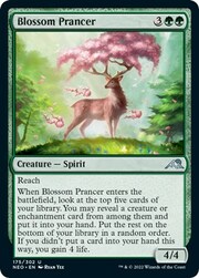 Blossom Prancer