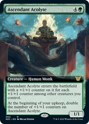 Ascendant Acolyte