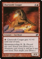 Chartooth Cougar