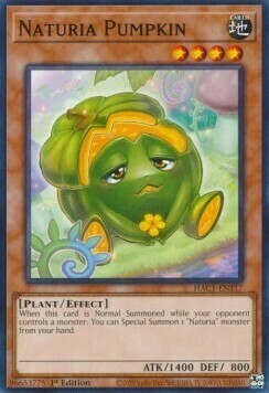 Naturia Pumpkin Card Front