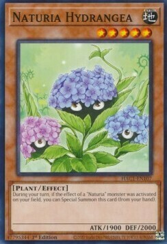 Naturia Hydrangea Card Front