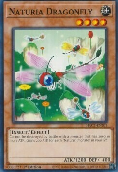 Naturia Dragonfly Card Front