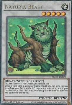 Naturia Beast Card Front