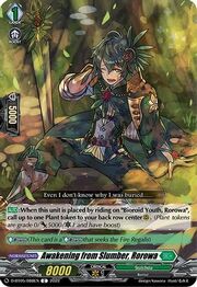 Awakening from Slumber, Rorowa [D Format]