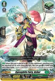 Zypsophila Fairy, Asher [D Format]