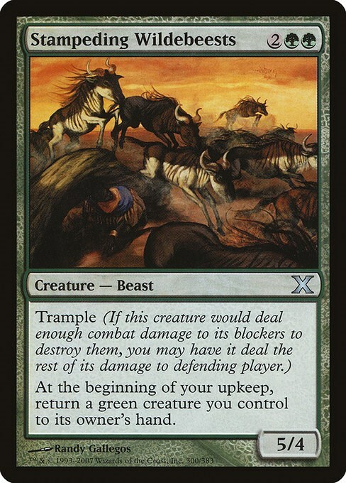 Stampeding Wildebeests Card Front