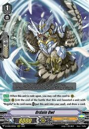 Ordain Owl [V Format]