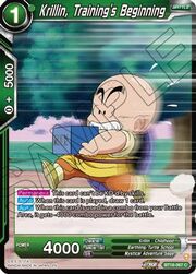 Krillin, Training's Beginning