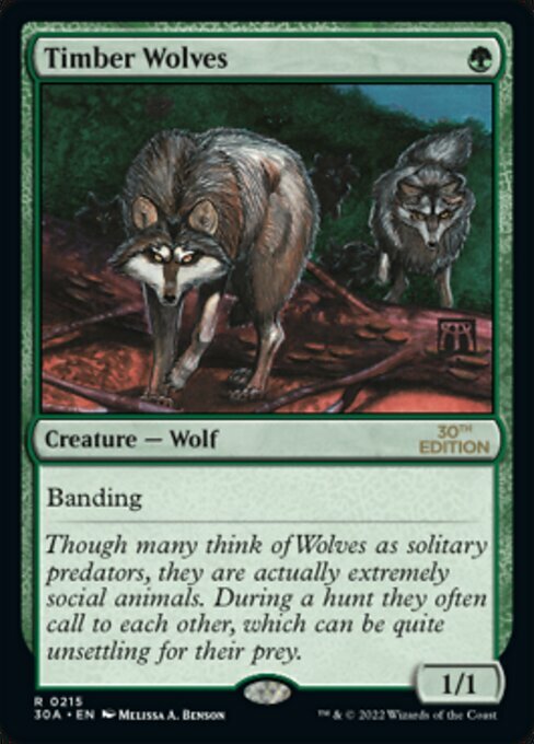 Timber Wolves Card Front