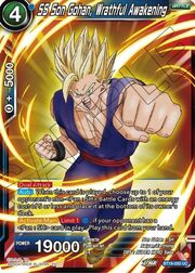 SS Son Gohan, Wrathful Awakening